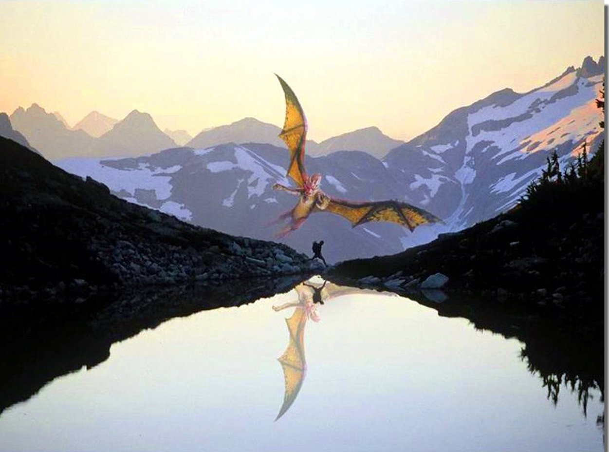 dragon6.jpg